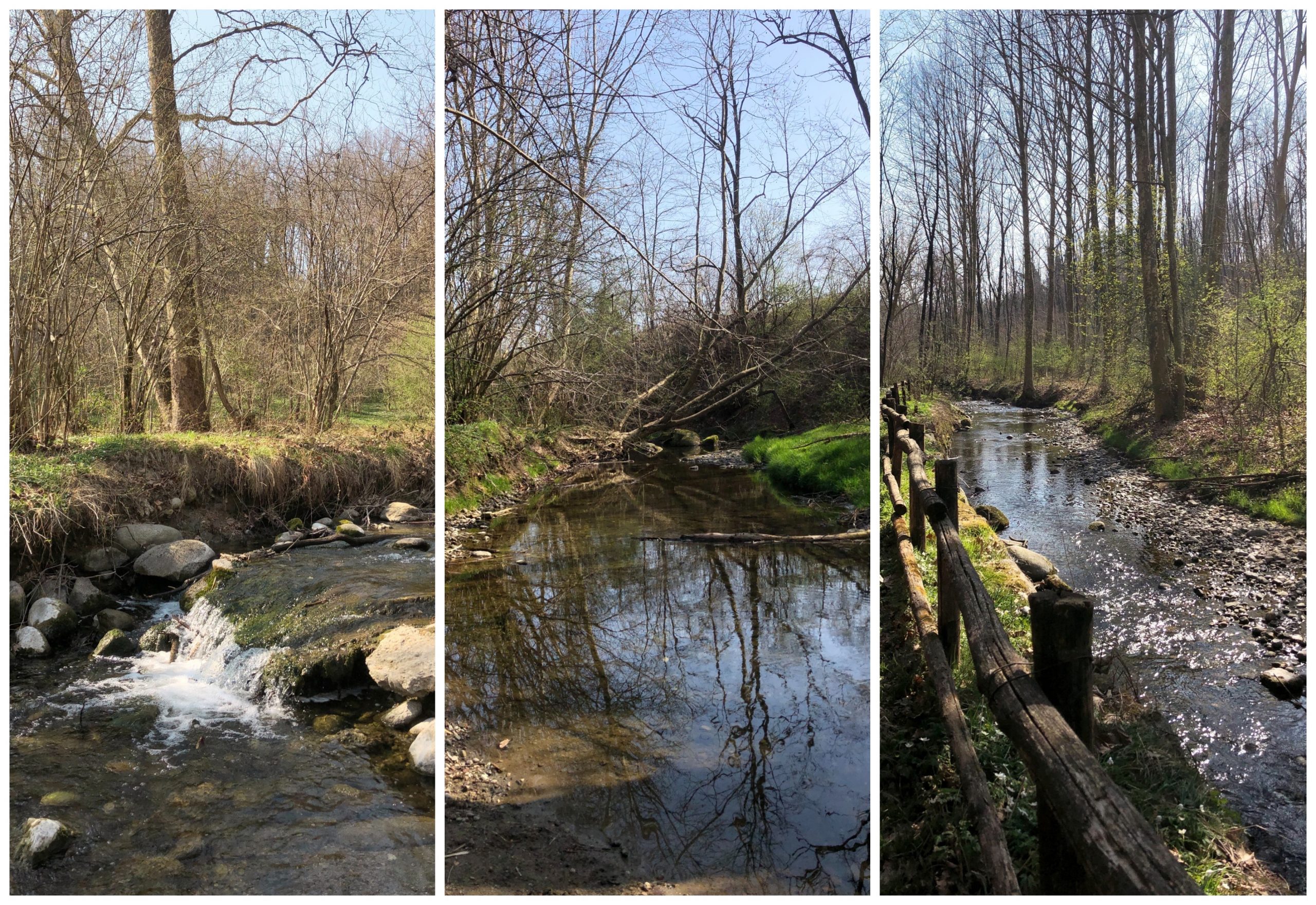 Parco delle Sorgenti del torrente Lura