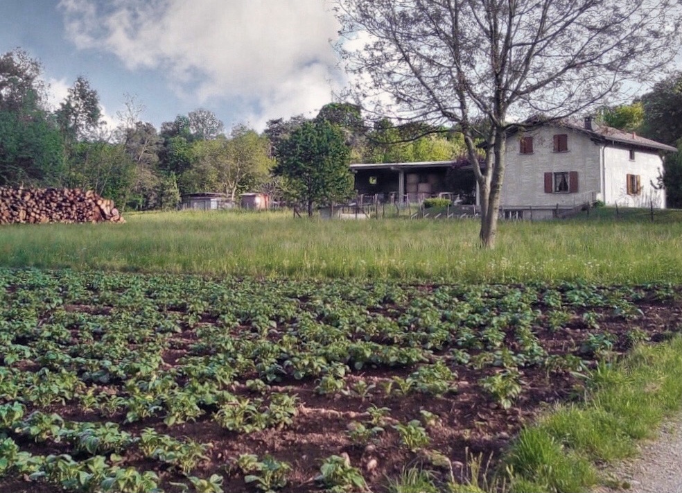 Azienda agricola Canil, Bulgarograsso, Como.